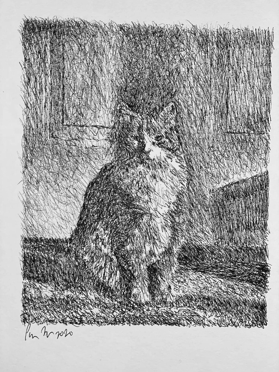 paul niles tweet media