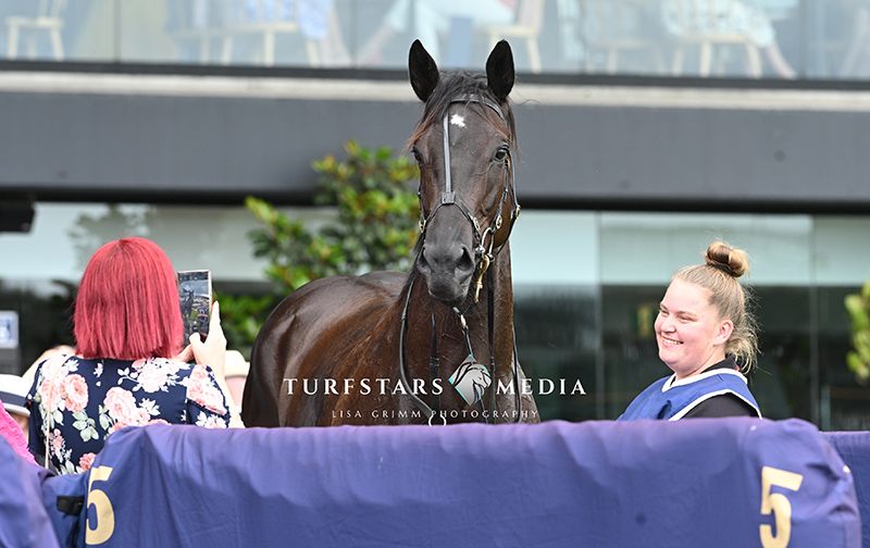 🥇 DIRECT FIRE - 4g Dracarys x Directly

MIDWAY HANDICAP (1300 METRES)
T: Theresa Bateup
J: Amy McLucas