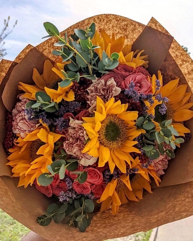 sunflowerchives's tweet photo. perfect colors https://t.co/6sgfzpWcKo