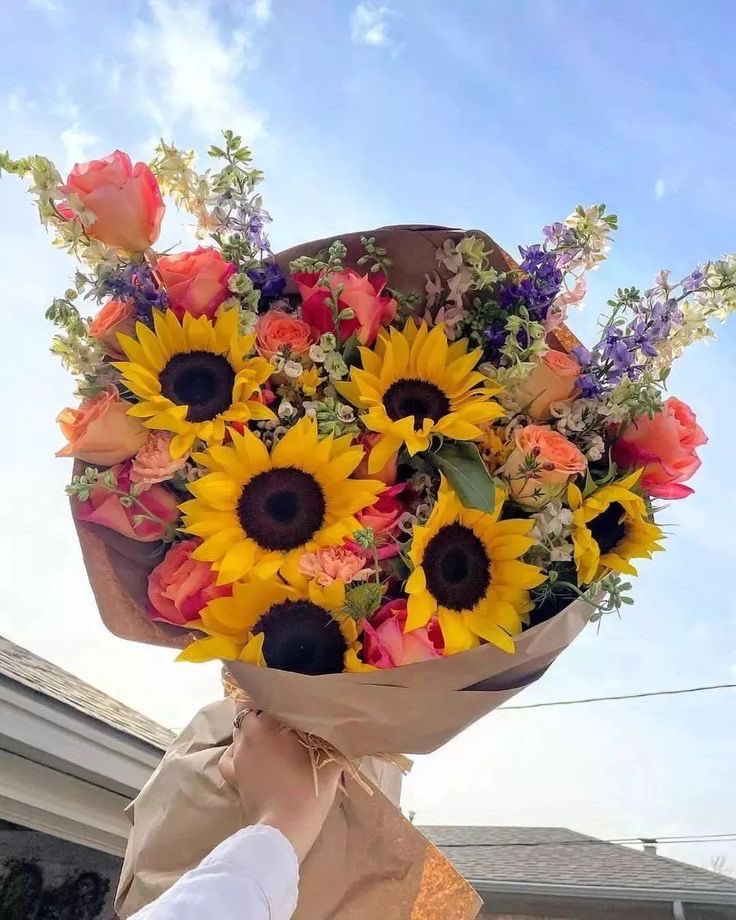 sunflowerchives's tweet photo. perfect colors https://t.co/6sgfzpWcKo