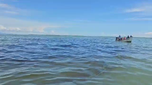 #AlertaAmbiental 🗣
Otro derrame de petróleo en el Golfete de Coro, estado Falcón
vía pescadores de Río Seco,Frente de mujeres
#8noviembre