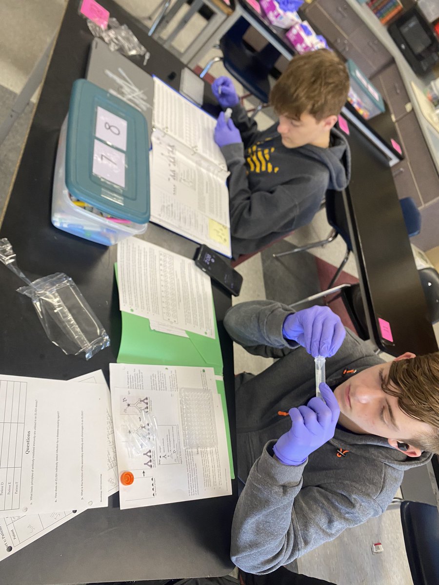 MrsDYurkovich's tweet photo. Students completed an ELISA test in Microbiology to help identify who was infected with a pathogen. https://t.co/0PCkeqxfW8