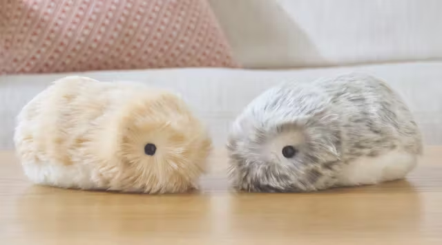 Moflin is designed to be more than just a toy; it has built-in sensors and algorithms that allow it to recognize and respond to human emotions! By interpreting vocal tone and touch, Moflin develops a unique personality over time. #Moflin $Moflin