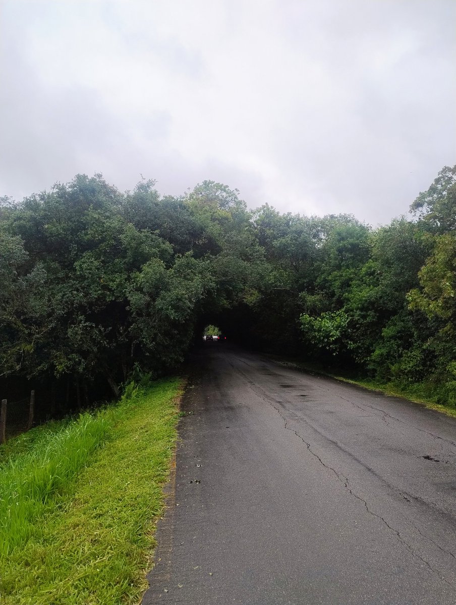 Matheusperson99's tweet photo. Eu vou continuar fazendo minha parte, retribuir a natureza por toda essa dádiva, e não andarei sozinho jamais, como nunca andei 🗣️🐎🐾👣🤍♻️

A espécie vai sobreviver - @hankgreen

#natureza
#Amazônia.
#Caatinga.
#Cerrado.
#mataatlantica 
#monitoramentoambiental 
#Pantanal https://t.co/FE2Egn7zWR