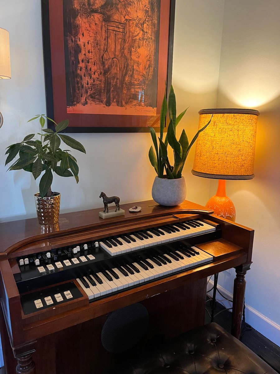TirelessWrkr's tweet photo. Hell yeah dawgs. It’s organ time. https://t.co/ty6tFANZPN