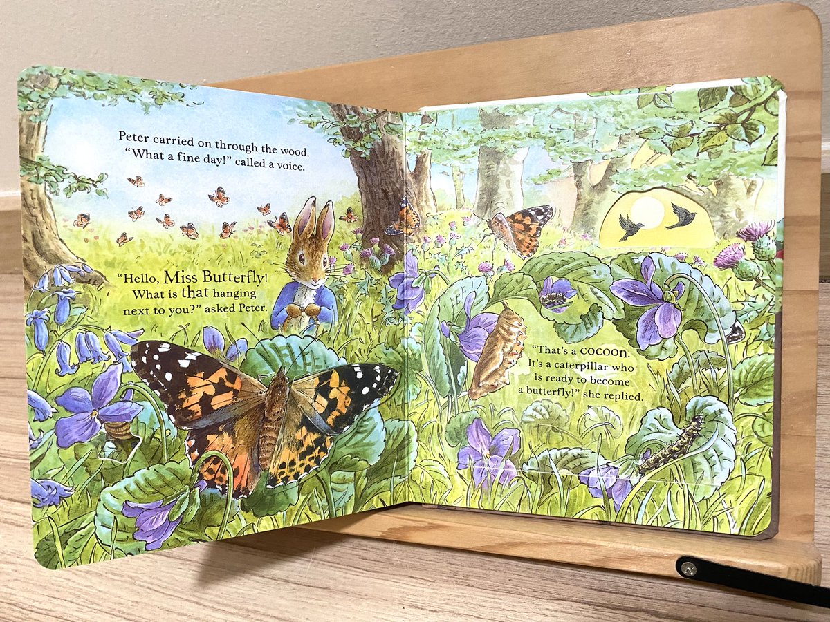 ABookCastle's tweet image. Peter Rabbit 
“Forest Homes”

ปีเตอร์ออกเดินทางไปพบเพื่อนกระรอก แต่ระหว่างทาง ได้พบกับเพื่อนหลากหลายสายพันธุ์เล่าถึงที่อยู่อาศัยของตัวเอง ปีเตอร์ต้องได้เรียนรู้อะไรที่น่าตื่นเต้นแน่ๆเลย 🙀🙀

บอร์ดบุคไดคัท ภาพสวย เนื้อหาเข้าใจง่าย // ขนาด 16.5*19.5 cm // 14 หน้า

169฿ ส่งฟรี!!