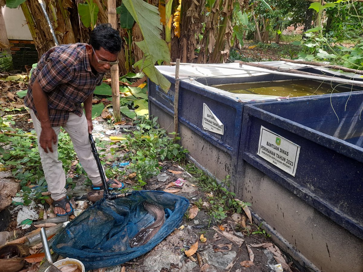 Heru Maruli tweet media