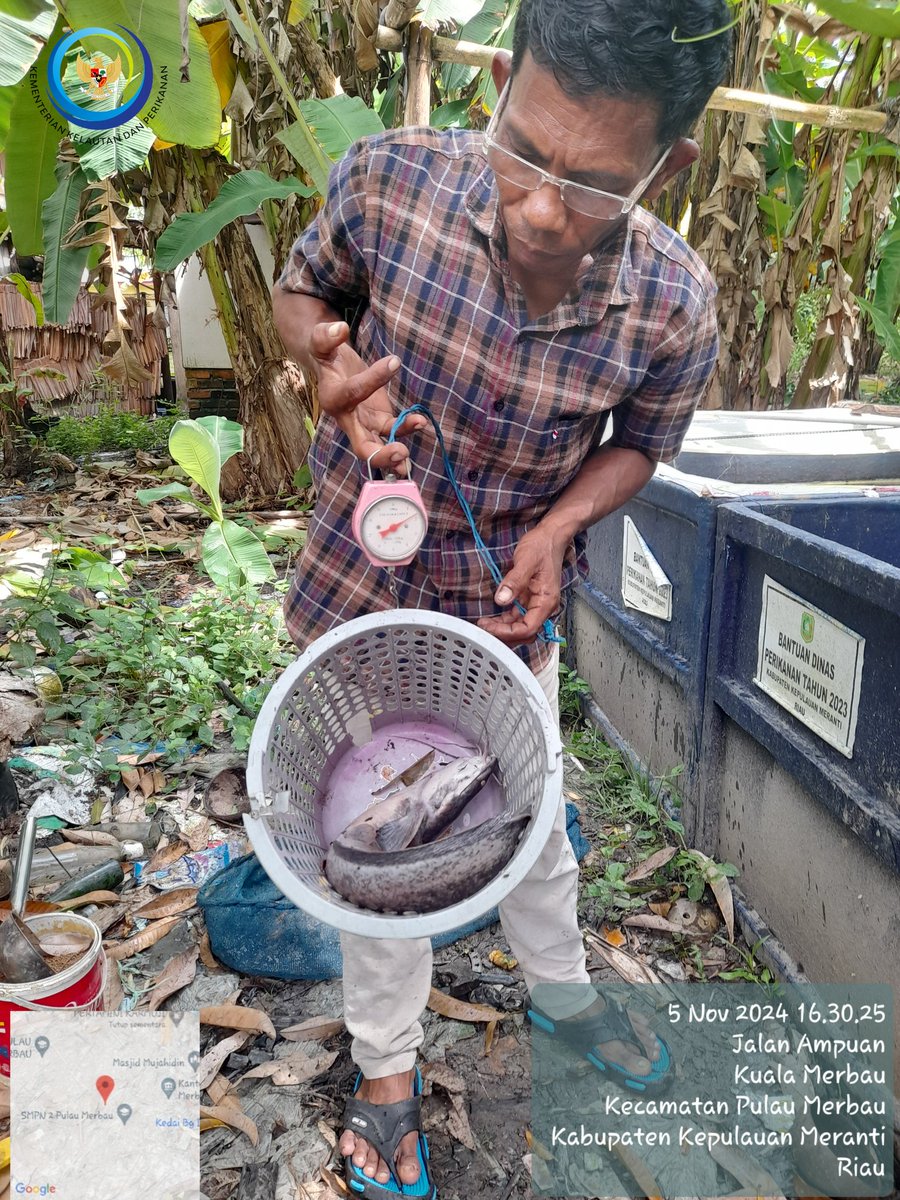 Heru Maruli tweet media