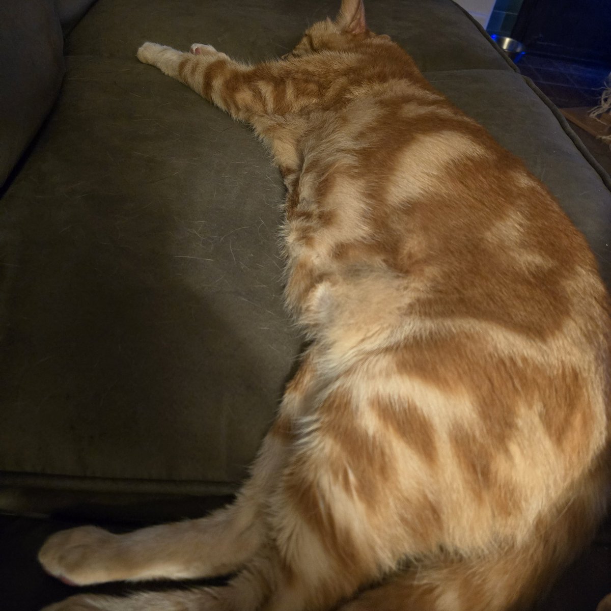 GoGoATL's tweet image. Relaxed boy