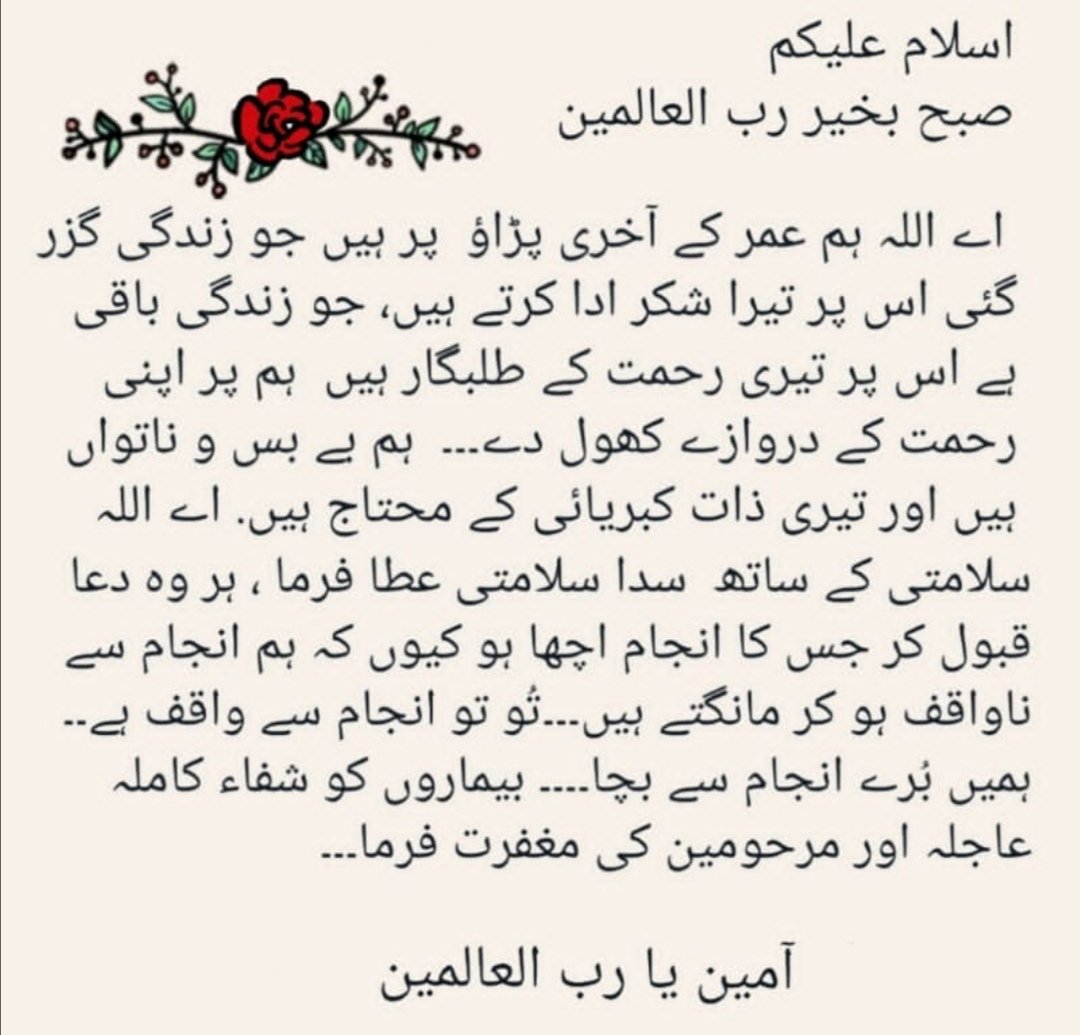 🖤متاع جاں🖤 tweet media