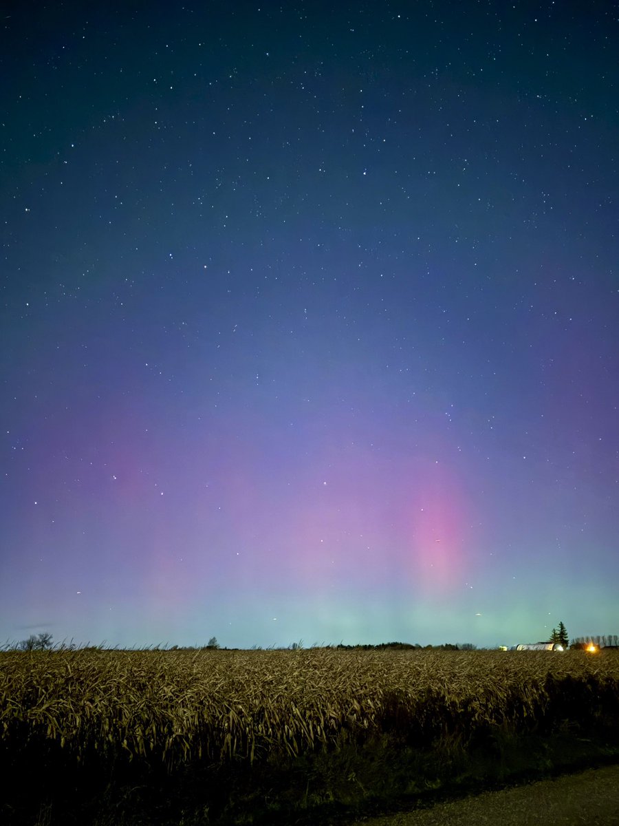 Rania // underflowR tweet media