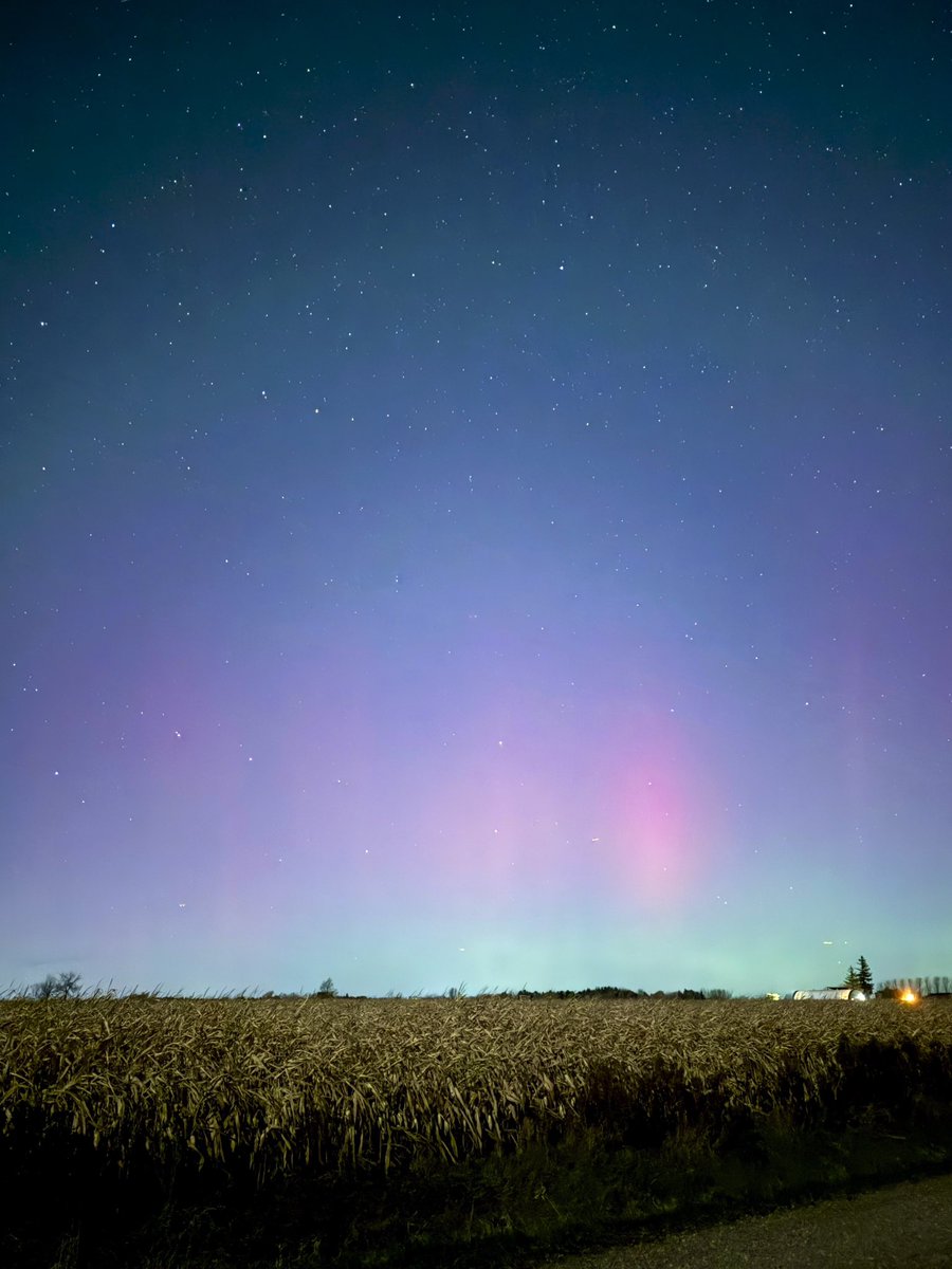 Rania // underflowR tweet media