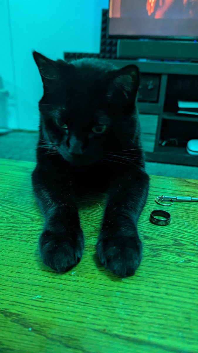 DjSlabZ's tweet photo. @sleepygirlvt Khajit has wears https://t.co/buKGy4a3GD