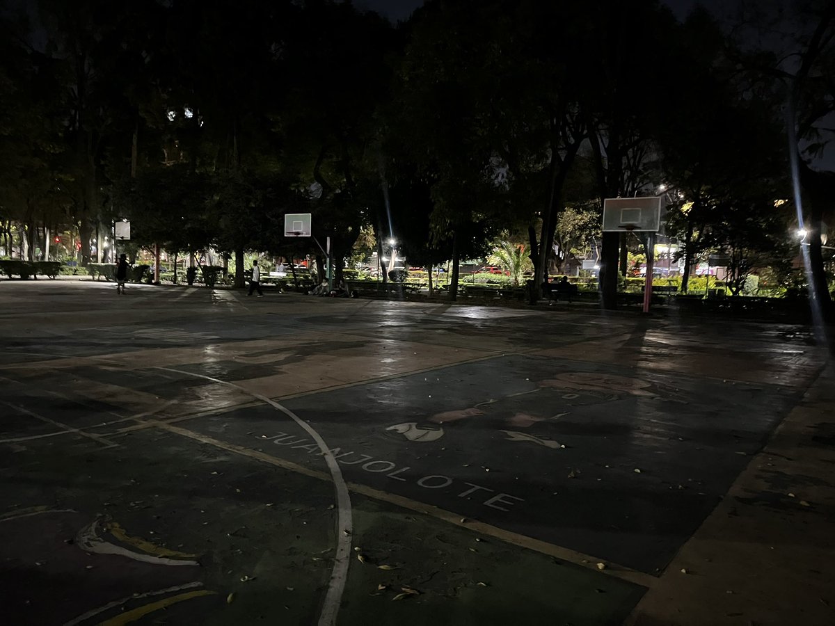 @RomaPets tweet media