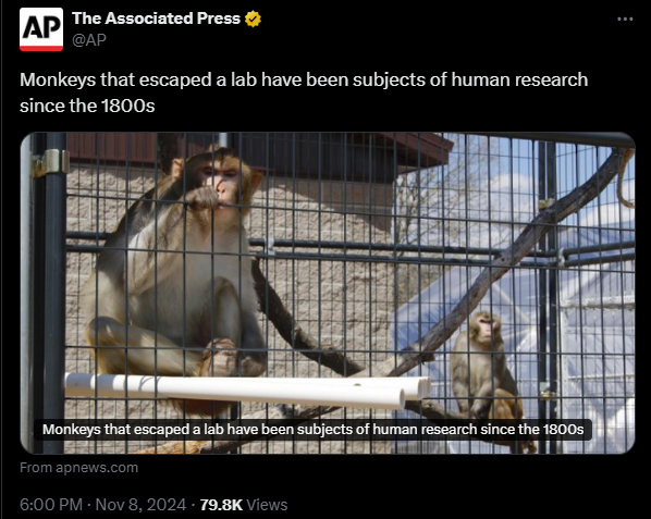 CFOXvan's tweet image. What sort of bonkers adrenochrome anti-aging warlock magic are you guys getting up to in South Carolina? - Jeremy