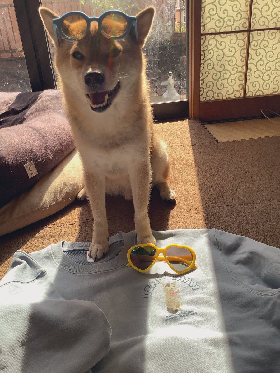 ᵖᵉᵗᵈᵒᵗˢʰᵒᵖ ᵖᵉᵗᵈᵒᵗˢʰᵒᵖ