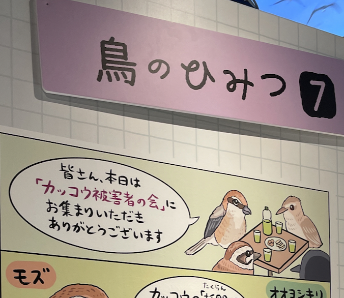 #鳥展 パネル、普段のノリではあるのですが、あまり鳥に詳しくない来場者さんに、鳥に関する専門的な知識を「本当に」持って帰ってもらうためにどう伝えればいいかな?と、専門家の先生と話し合いを重ねつつ考えて作りました。博物館の皆さんにも日頃の作風を尊重していただき大変ありがたかったです。