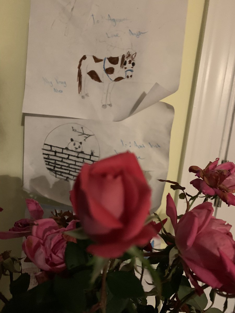 A perfect rose with my nieces grade school drawings.
Good night my friends.
🫶🏻💕🙏🏻