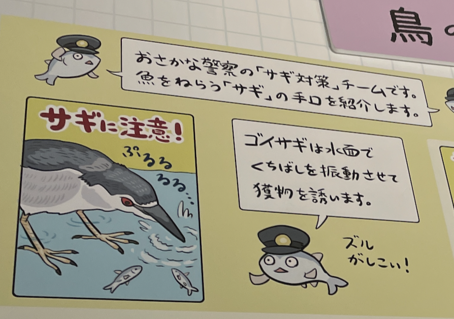 #鳥展 パネル、普段のノリではあるのですが、あまり鳥に詳しくない来場者さんに、鳥に関する専門的な知識を「本当に」持って帰ってもらうためにどう伝えればいいかな?と、専門家の先生と話し合いを重ねつつ考えて作りました。博物館の皆さんにも日頃の作風を尊重していただき大変ありがたかったです。