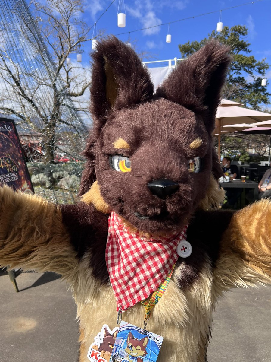 BlastWolf529's tweet photo. こうk近い近い！！！ww
 #Kemocon17 
 #こうくん可愛い https://t.co/gZsj3LaIRp