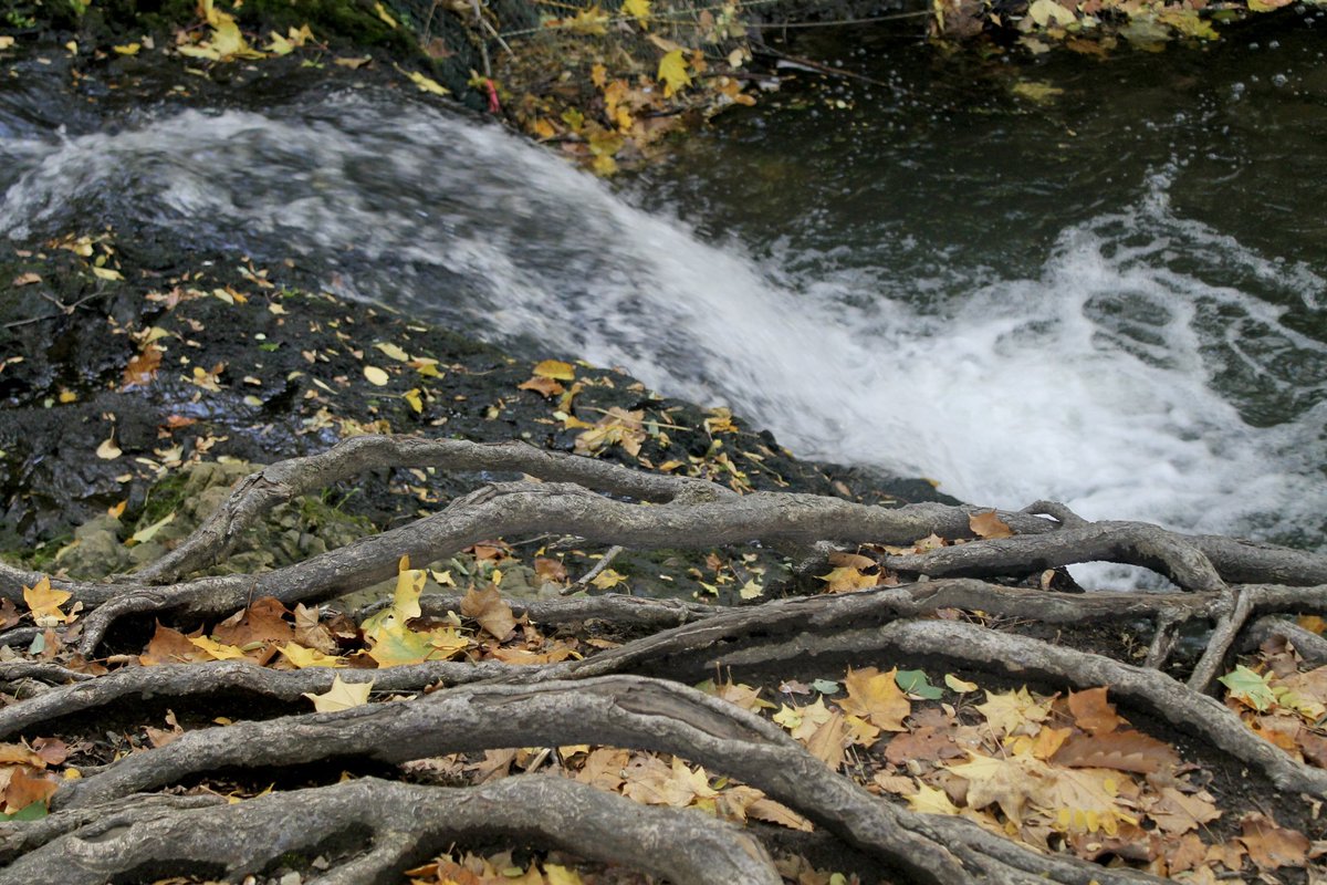 t_NickAkers's tweet image. 