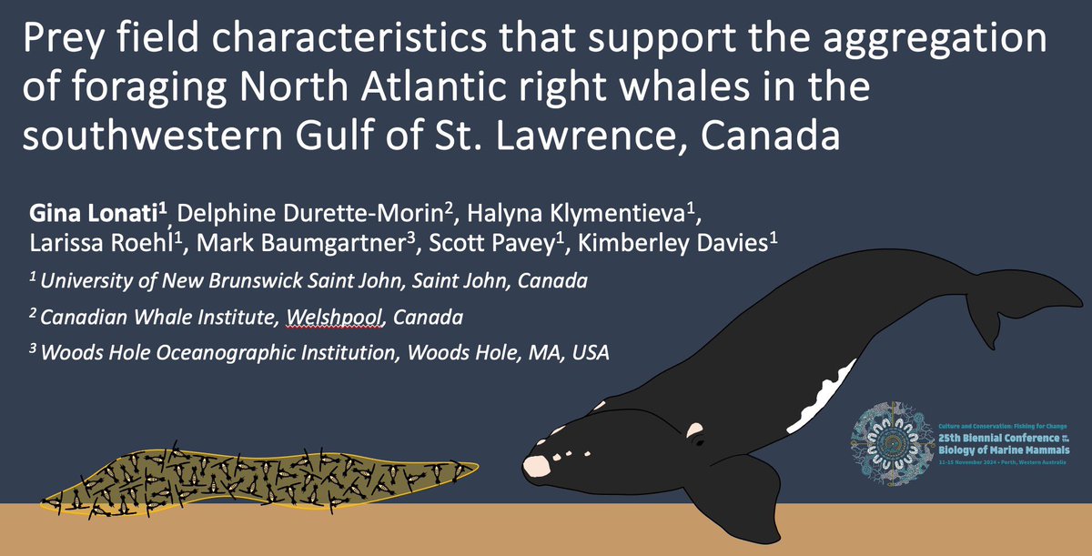 Thrilled to have arrived in Perth, Australia for the 25th Biennial <a href="/marinemammalogy/">Marine Mammalogy</a> Conference!

#SMM2024 mates, come check out my talk on Wednesday, Nov. 13 at 14:06 (Meeting Room 1-3) about North Atlantic #rightwhale foraging #ecology in the Gulf of St. Lawrence, Canada
