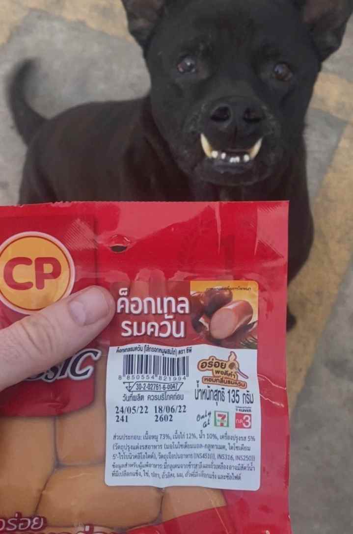 undercovercrypt's tweet image. Lass uns in die Welt von undercrypt eintauchen!