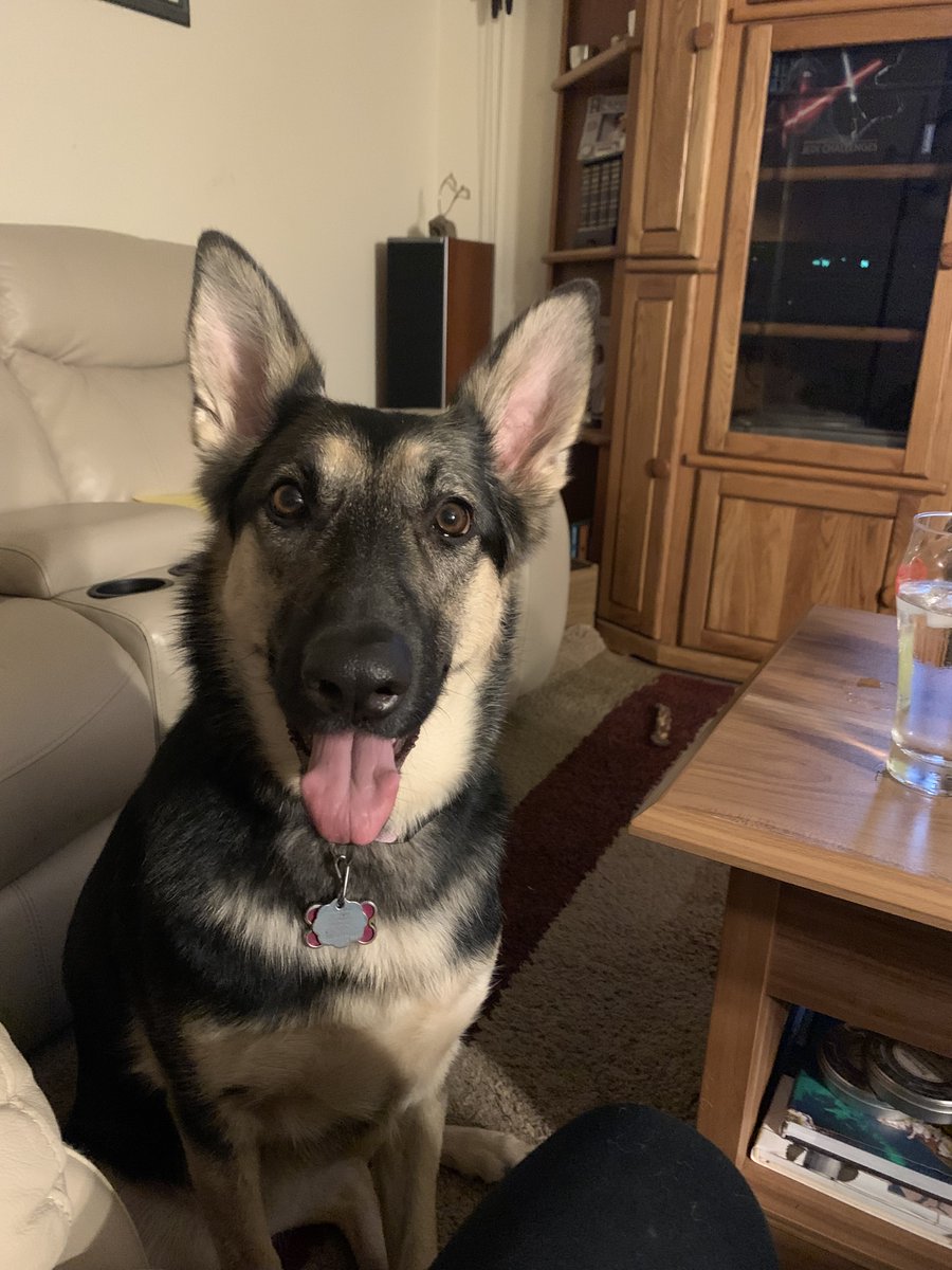 Lauri Corkum's MG-The Titanic Caper is out on sub! tweet media