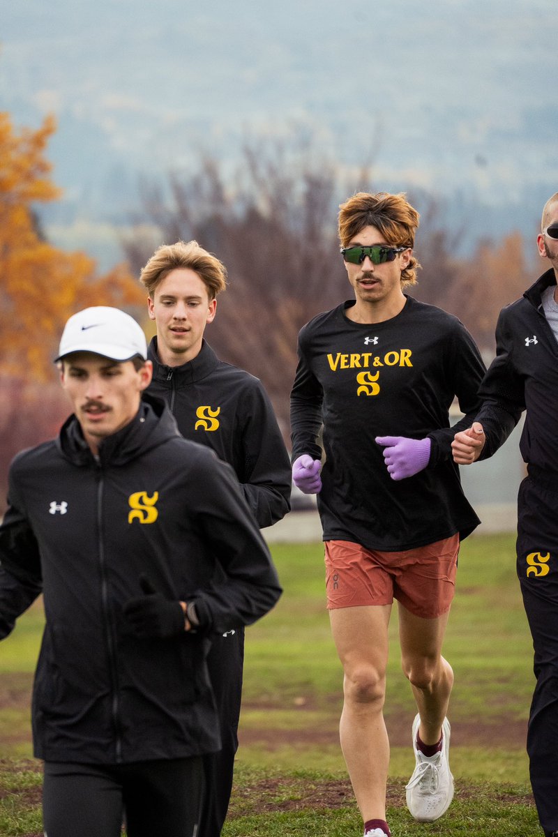 Vert & Or tweet media