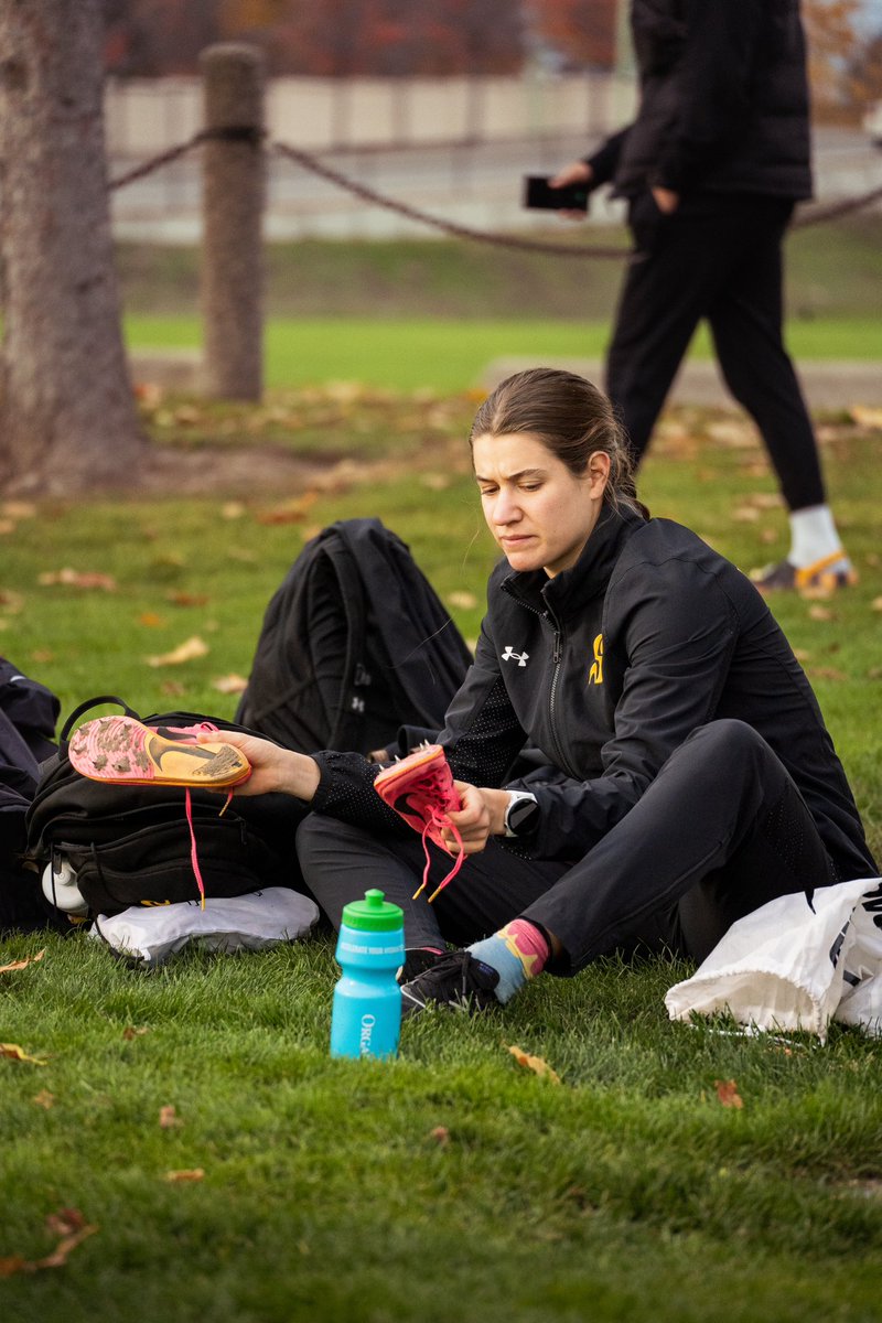 Vert & Or tweet media