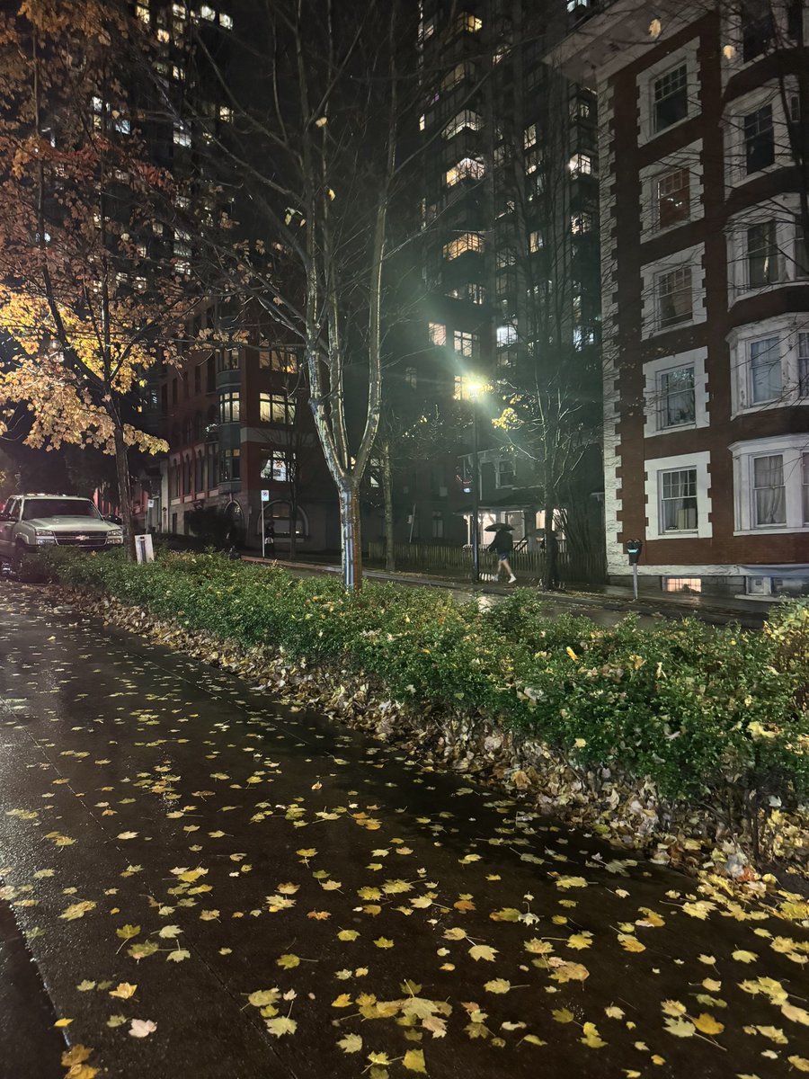 leaves have fallen into place and so will everything else