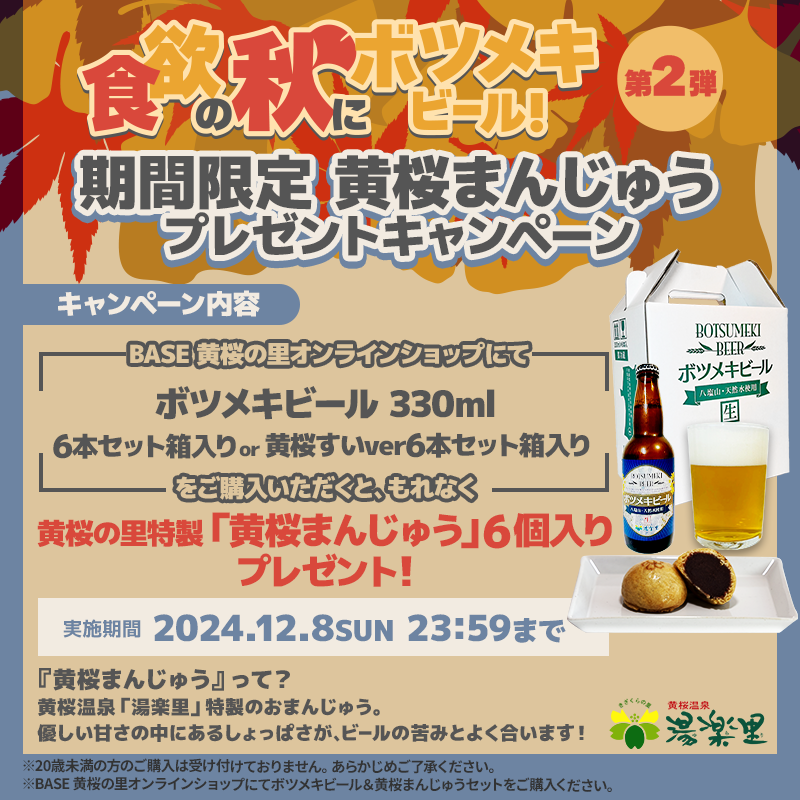 botumeki_beer's tweet photo. ／
衝撃の組み合わせセット
誕生！！🍺
＼

黄桜まんじゅうと #ボツメキビール が期間限定で
お値段そのままセット販売開始✨️

あまくてちょっぴりしょっぱいお饅頭と、
ビールのさわやかな苦味が合う！？

ぜひ一度お試しくださいね😊
ボツメキビール6本とお饅頭セットは¥4,800で販売中です✨️