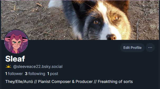 SleeveAce22's tweet photo. i made skys this at for the silly side and rleafaurora for the main music shits catch me MOVIN https://t.co/R56C9V0tbc