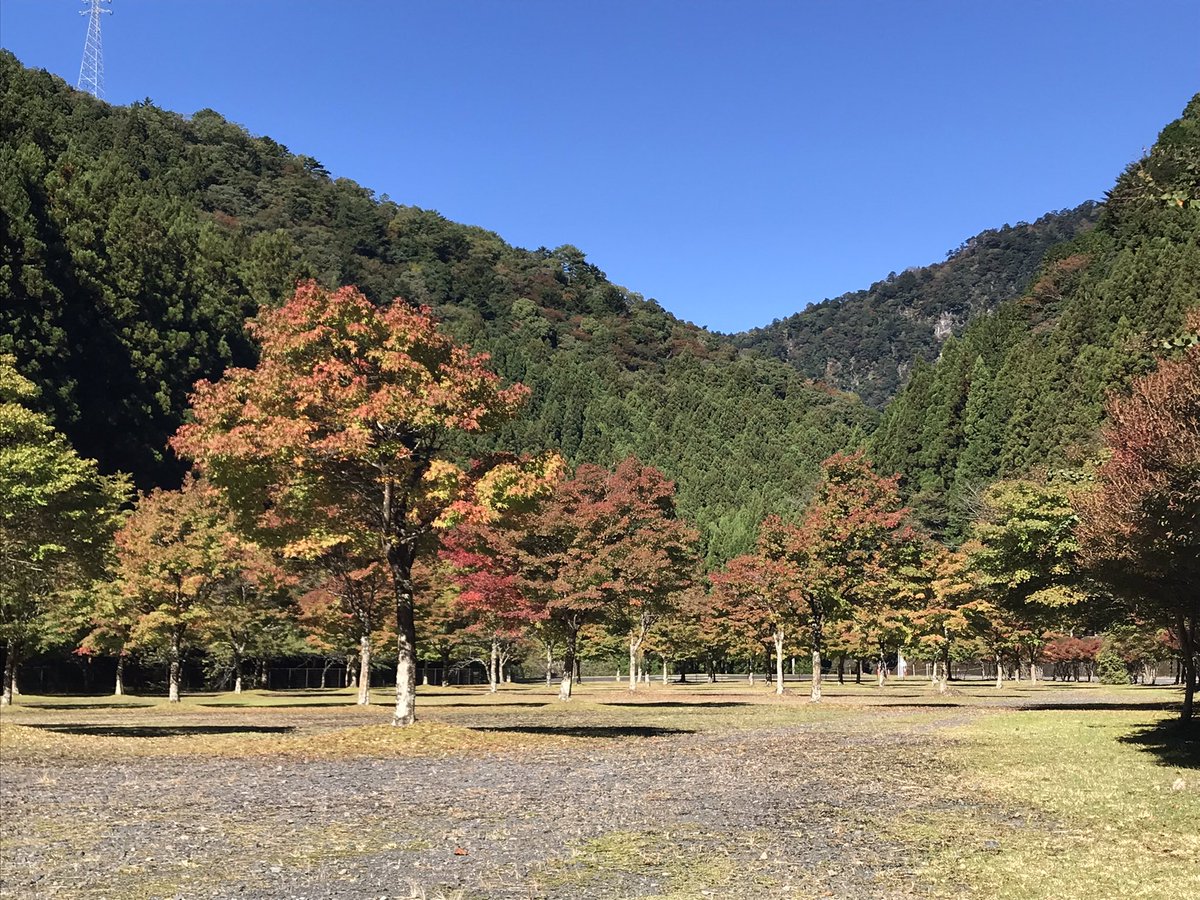 kuretake2985's tweet photo. 今朝の第1駐車場です...🍁
最近、冷え込んで来たので🍁色の変化が早くなったかな💦 https://t.co/ISmbd5LO2f