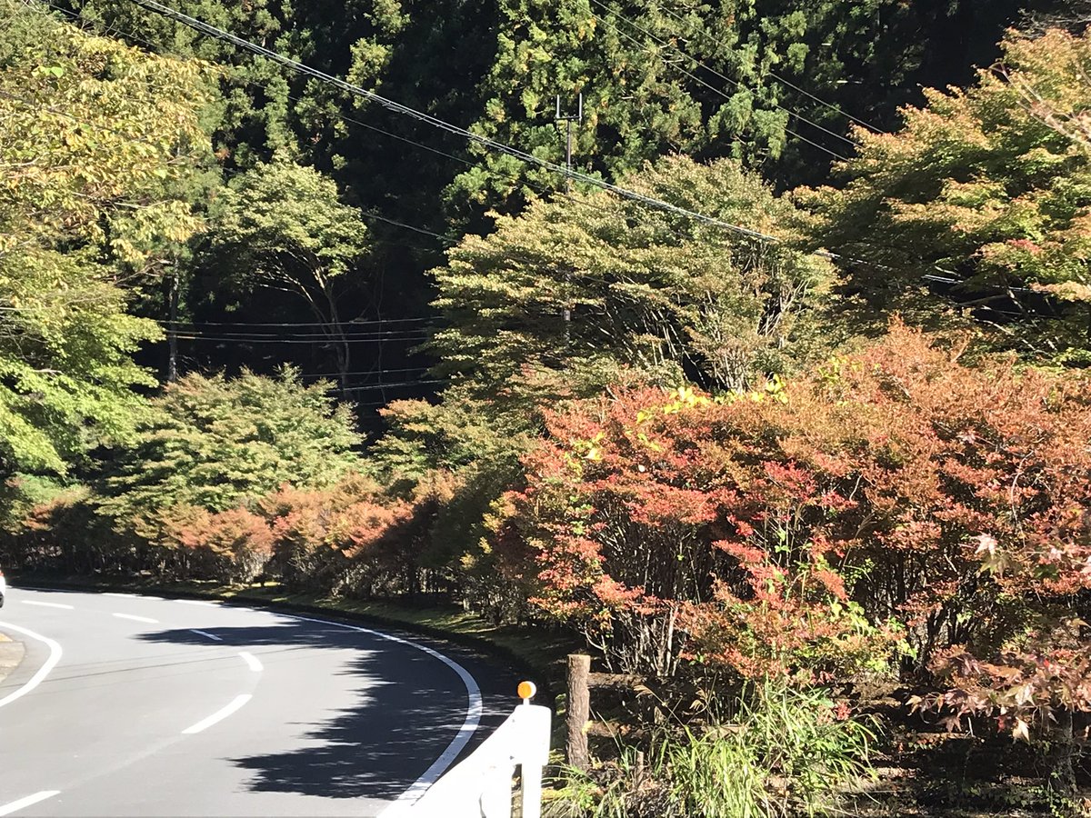 kuretake2985's tweet photo. 今朝の第1駐車場です...🍁
最近、冷え込んで来たので🍁色の変化が早くなったかな💦 https://t.co/ISmbd5LO2f