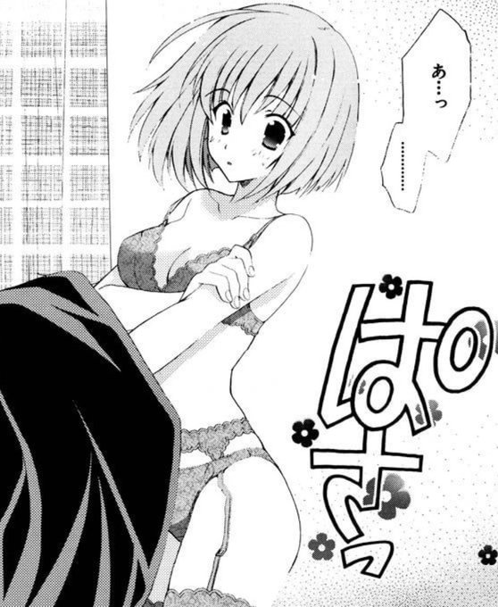 ちゃんとガーターベルトの上からパンツを穿いている +2京点 