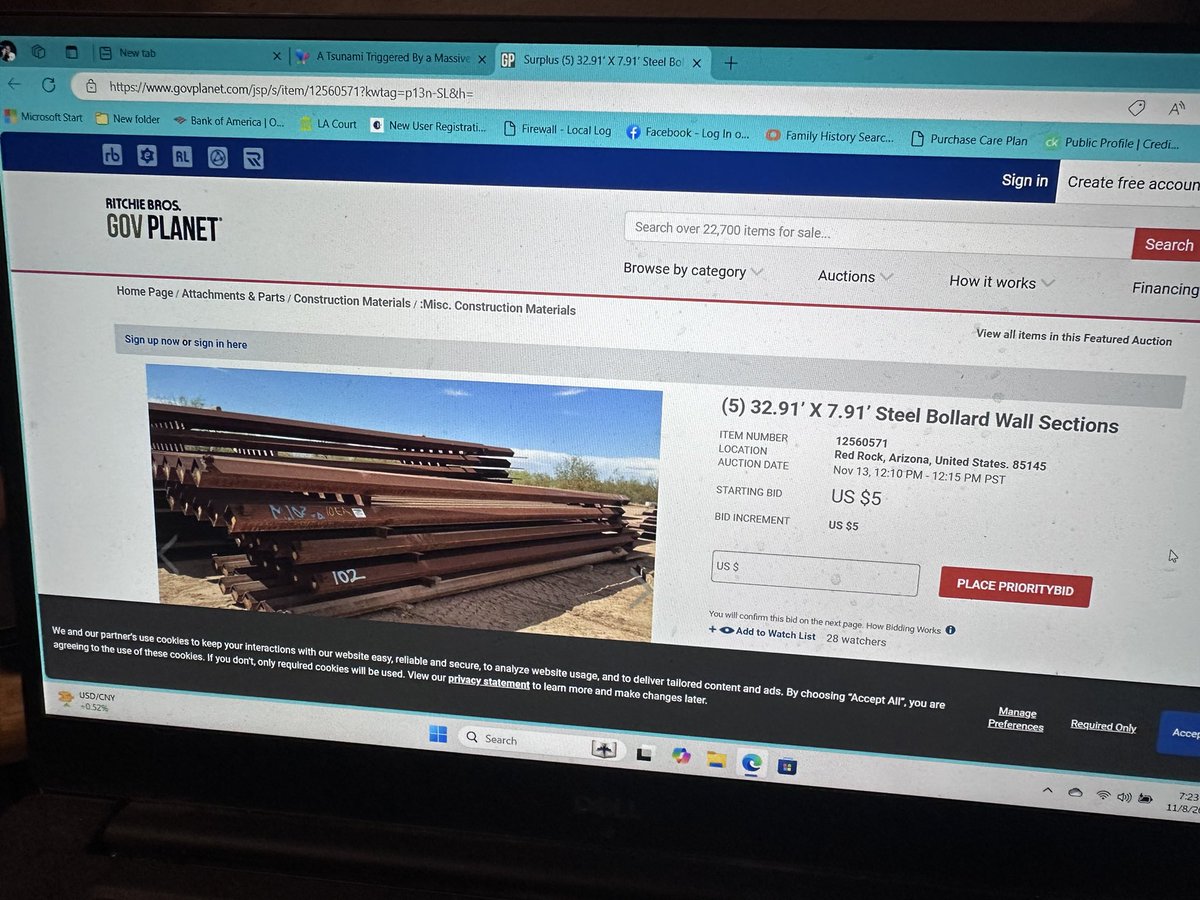 ? what's this,oh I no!Lets sell the all ready paid for material to build the border wall so Trump will have to find the money eles where $5.00 dollar bid action the day after election Fucking Dems