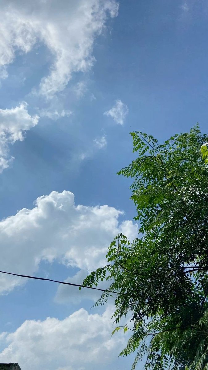 Asslam u Alikum
Good Morning 🌸