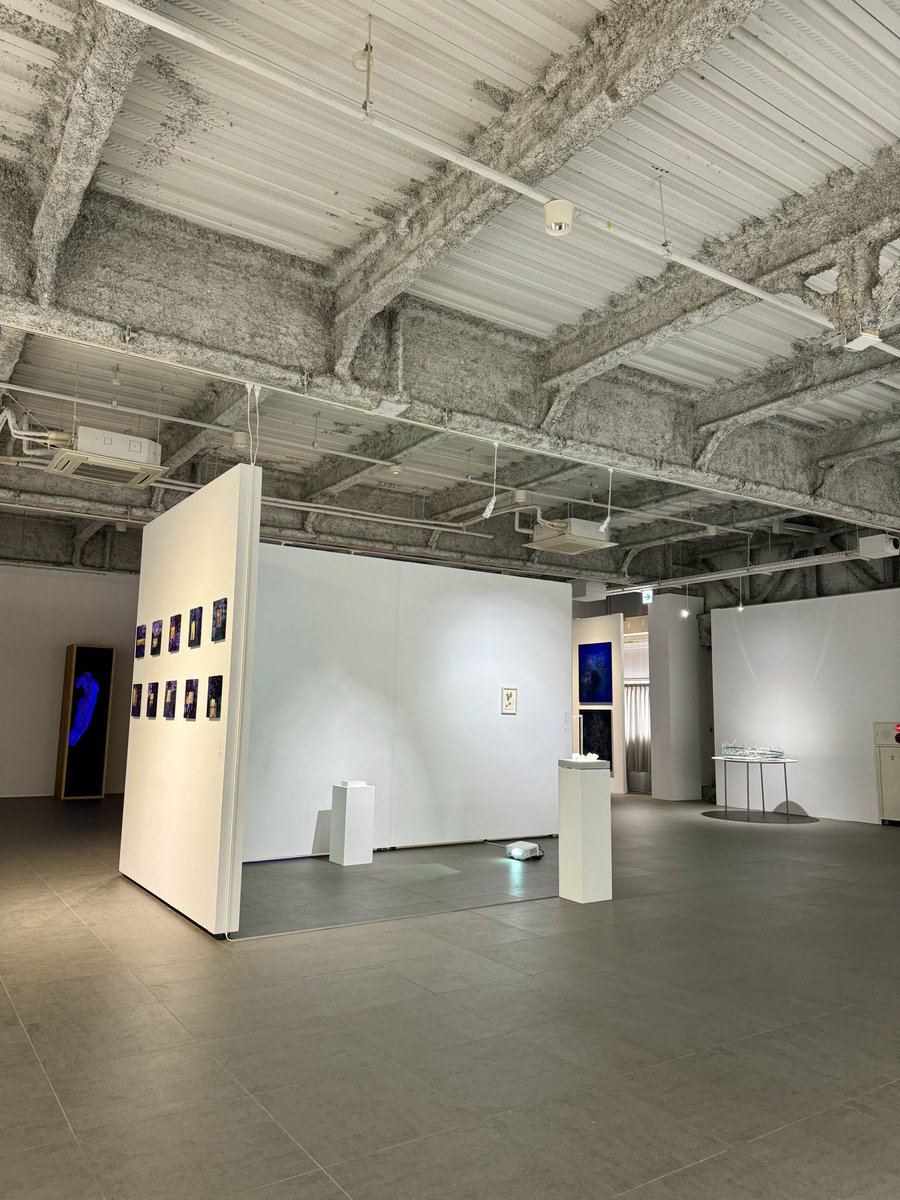 yasko_0125's tweet photo. 【OPEN STUDIO 2024】
2024年11月9日（土）よりスタート。
ART FACTORY城南島にて、1ヶ月間作品が展示されます。
普段こちらで制作をしているアーティスト達のアトリエもご見学いただけるスペシャルなイベントです。
有志で作ったアートブックの企画もございますので、是非遊びにいらしてください！ https://t.co/9Bcv969iws