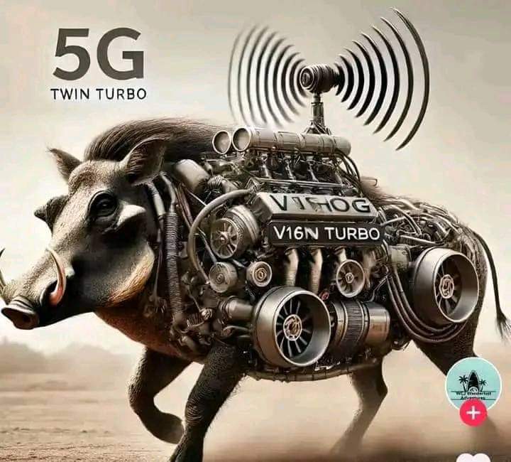 Usati waenda kubasa kana ikoko kwaunoswera nhasi
Like + Repost.
Commenta nema handles ako timbokutevera

Lets connect 🔥🔥