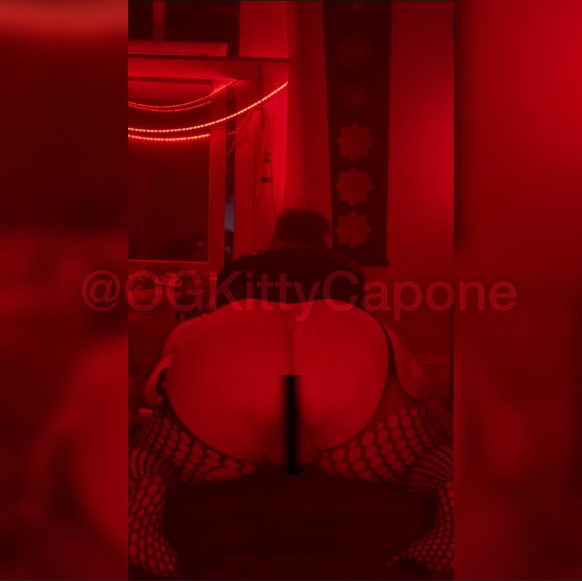 𝑀𝒾𝓈𝓈 𝒦𝒾𝓉𝓉𝓎 𝒞𝒶𝓅𝑜𝓃𝑒 ✨ tweet media