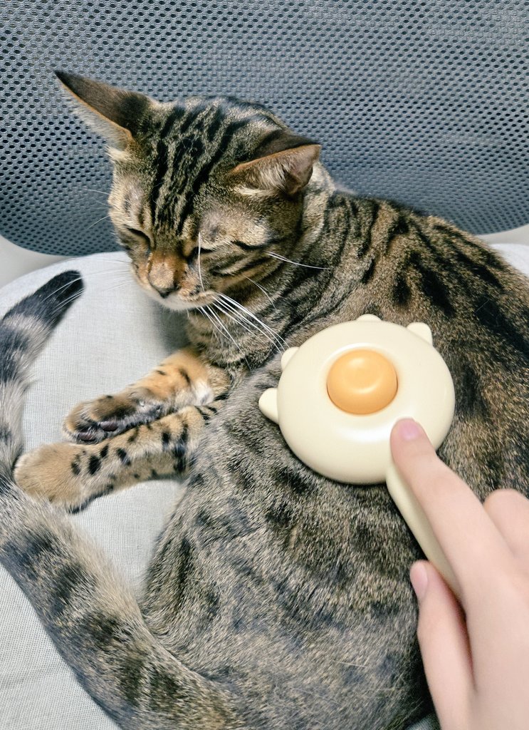 잘 지내시나요?