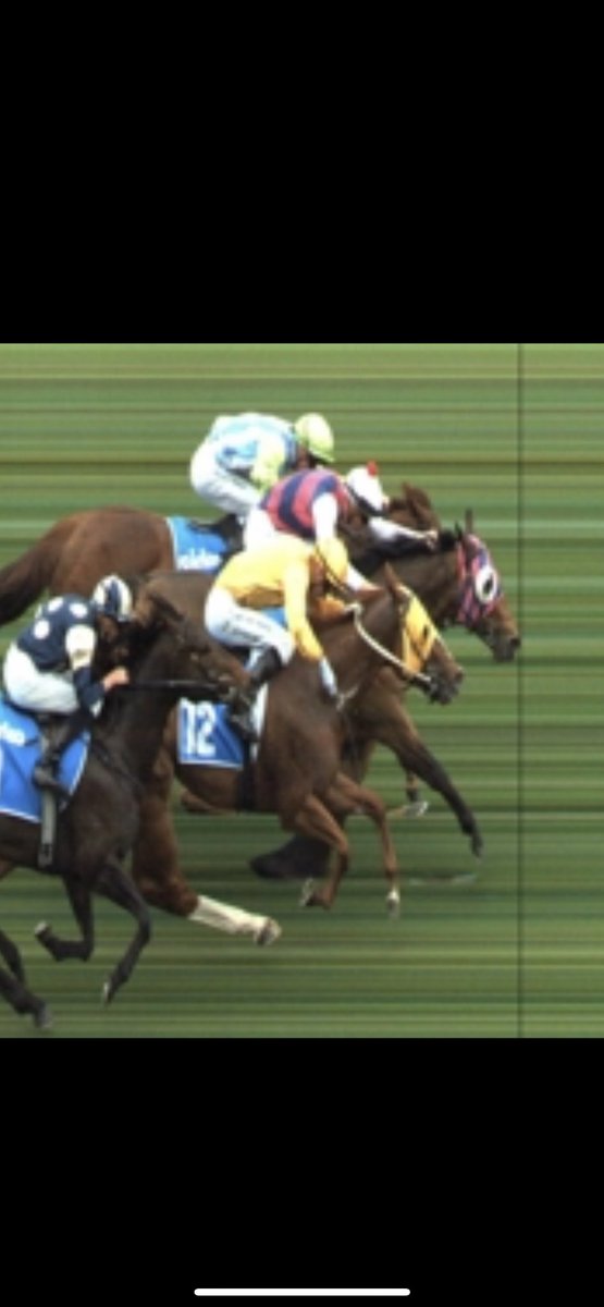 🥈Robrick @$4.4 for the place, so close 😢