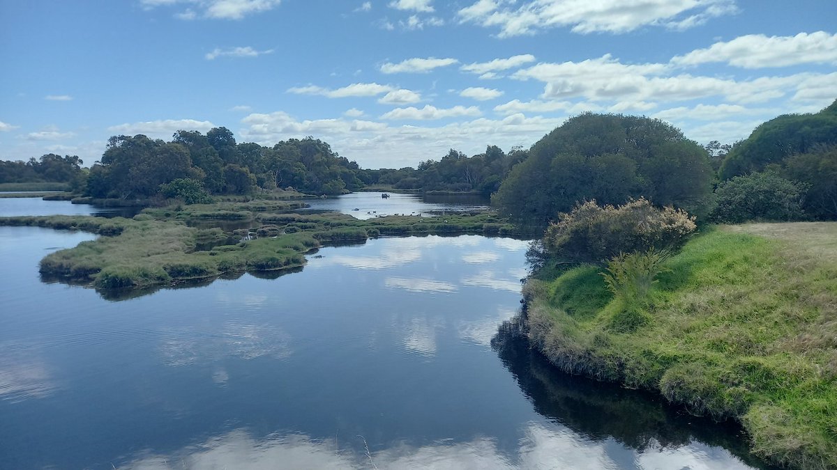 Morning walks with <a href="/yuvanasingh/">Yuvana Singh</a>