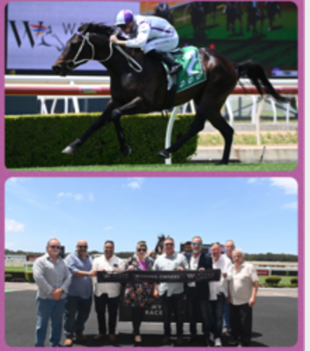 WyongRaceClub's tweet photo. Wyong Race 1 👇
Cryptonic (Lee Magorrian)
Jason Attard &amp; Lucy Keegan Attard https://t.co/c5s6NyijyE