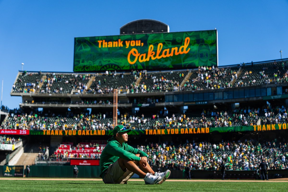 Sean Cheng 🇺🇸🇹🇼 tweet media