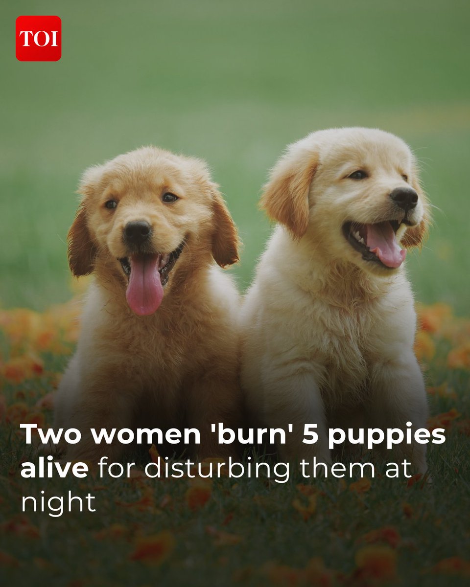 timesofindia's tweet photo. Two women allegedly set five puppies on fire in #Meerut because their barking disturbed their sleep. The three-day-old puppies were doused in petrol and burned alive 

Know more https://t.co/8Iq0SVTQZE https://t.co/I33WgtYDt3