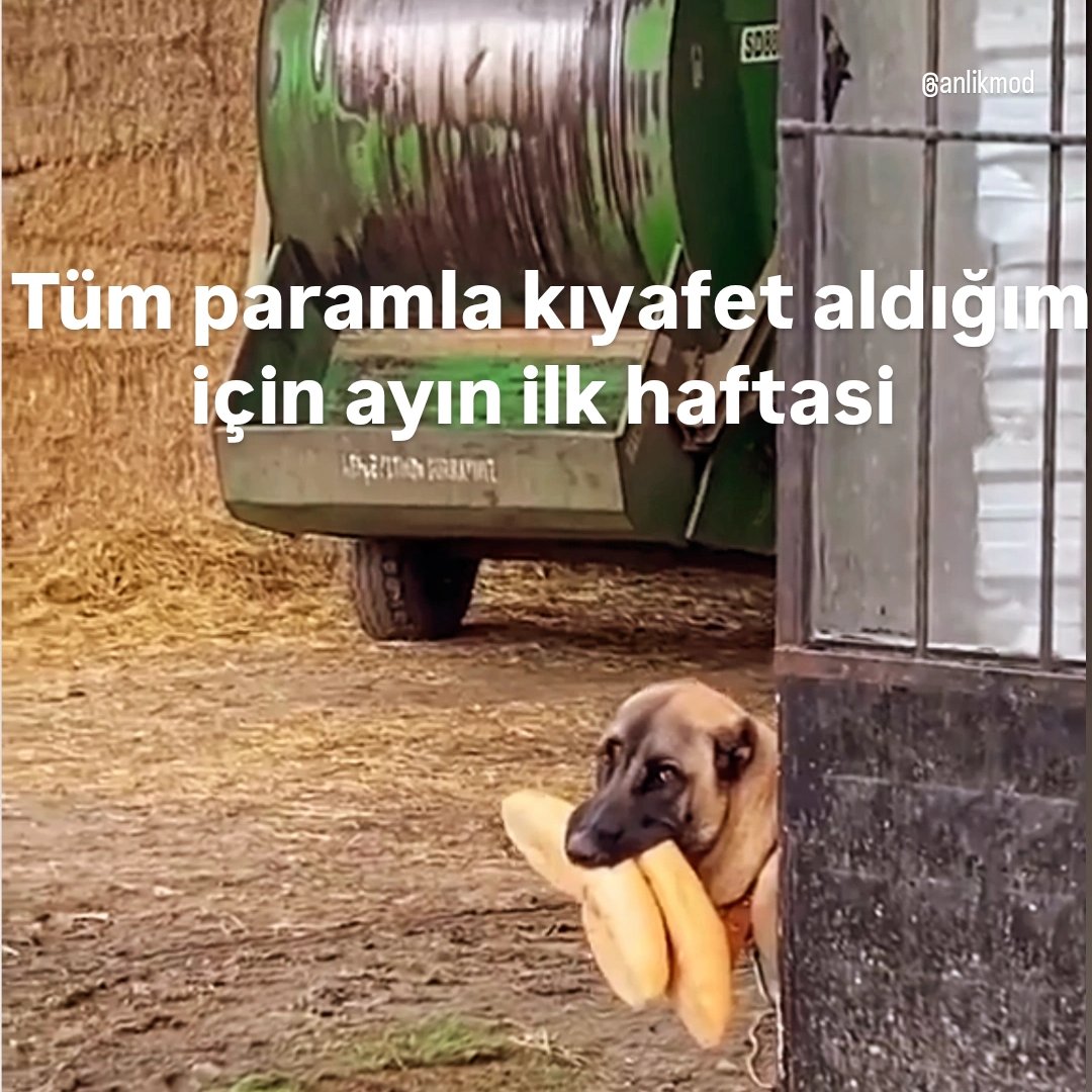 ANLIK (@anlikmod) on Twitter photo 