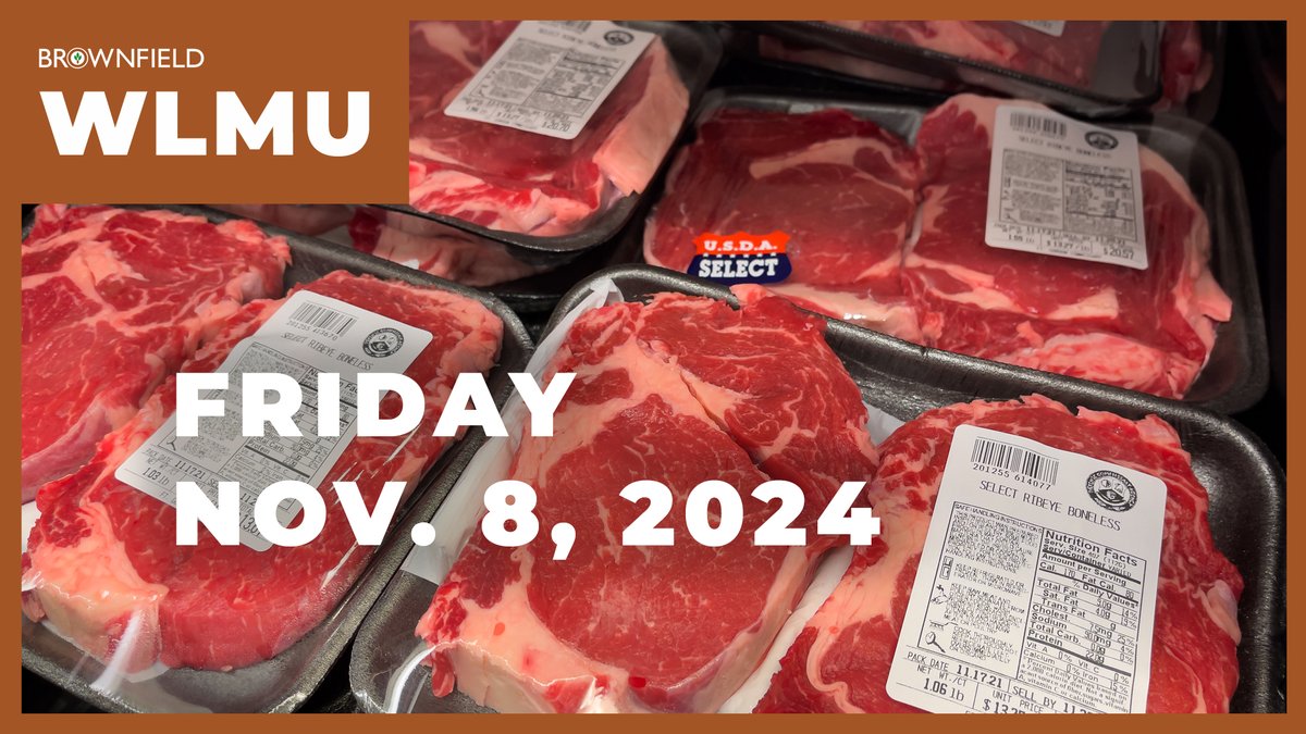 Brownfield Ag News (@brownfield) on Twitter photo VIDEO: Beef imports up more than 23% on the year. More details from <a href="/BRNAgNews_MG/">Meghan Grebner</a> and <a href="/MUScottBrown/">Scott Brown</a> in this Weekly Livestock Market Update.
Watch the full video here: youtu.be/URzyfUs025A VIDEO: Beef imports up more than 23% on the year. More details from <a href="/BRNAgNews_MG/">Meghan Grebner</a> and <a href="/MUScottBrown/">Scott Brown</a> in this Weekly Livestock Market Update.
Watch the full video here: youtu.be/URzyfUs025A