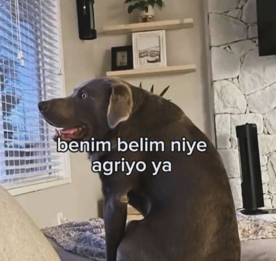 ANLIK (@anlikmod) on Twitter photo 